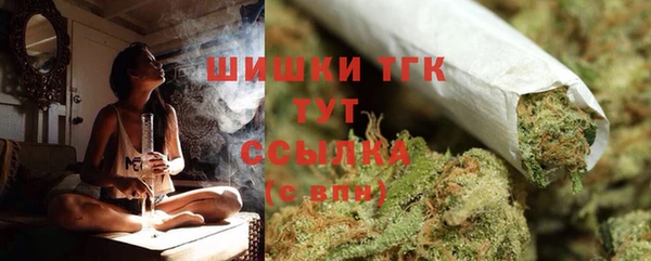 крисы Лагань